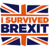 I Survived Brexit