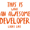 Ingenious developer