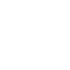 Stuntman