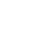 Stolzer Bully Papa - Pfote