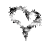 COEUR