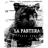Animal Print Black Panther