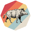 Boar Wildsau Cool gift
