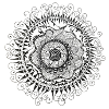 Doodle spiral