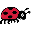 ladybug ladybird lady beetle