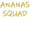 Pineapple fruit Ananassquad
