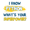 Programmeur Python