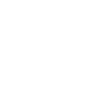 Bug programmer