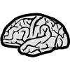 Brain, Brains