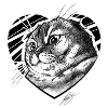 Le chat Crocreto