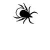Zecke Spinne Spinnentier Borreliose Geschenk