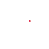 Drone pilot