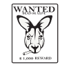 kangaroo