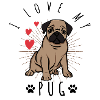 I love my pug