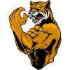 Tiger fighter
