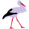 Stork