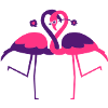 Pink flamingos