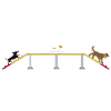 Agility
