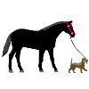 chiens et chevaux
