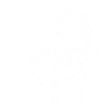 dinosaur