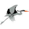 Héron