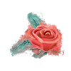Flower rose brightly glowing