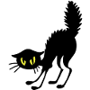 Annoyed cat