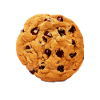 cookie biscuit