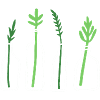 Plante graphique en bouteille