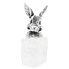 Rabbit in breast pocket
