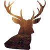 Deer design
