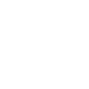 Labradoodle - Chien Doodle