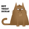 not today cat