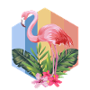 flamingo