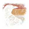 Crow