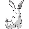 The bunny