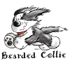 Bearded Collie