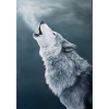 Wintersong