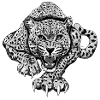 KutuXa Leopard
