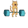 Cadeau de musculation haltère haltérophilie