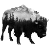 Double Exposure Bison