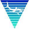Shark / Hai Geschenk