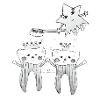 Healthy teeth
