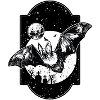 Chauve-souris halloween nuit lune ténèbres