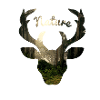 Natur, Nature, Hirsch, Wald