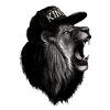 KNGOFDAHOOD