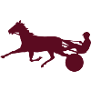 harness racing