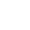 Attitude
