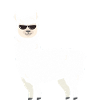 Aucun drame lama