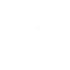 Evolution basketball